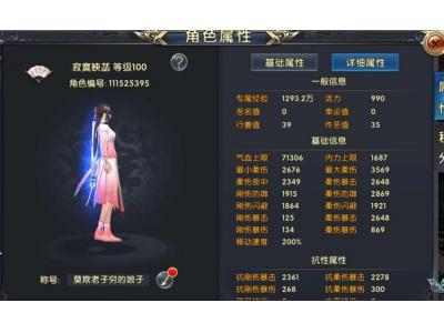 卧虎藏龙2琴师技能怎么玩