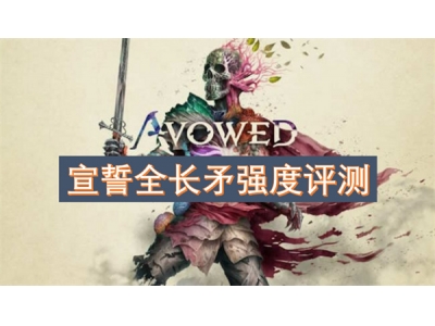 宣誓全长矛强度评测