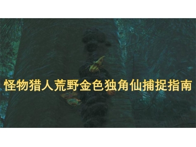 怪物猎人荒野金色独角仙捕捉指南