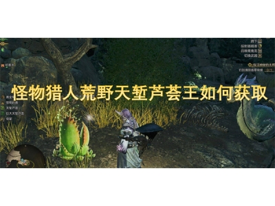 怪物猎人荒野天堑芦荟王如何获取