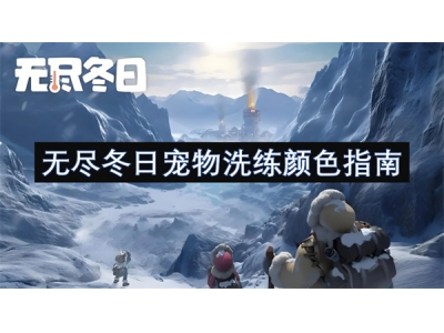 无尽冬日宠物洗练颜色指南