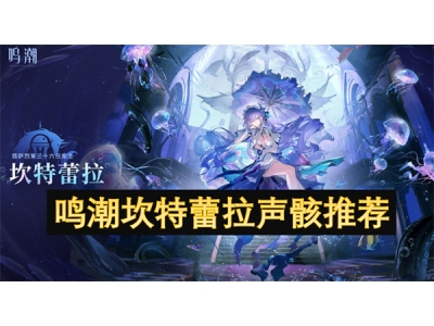 鸣潮坎特蕾拉声骸推荐