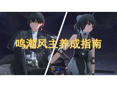 鸣潮风主养成指南