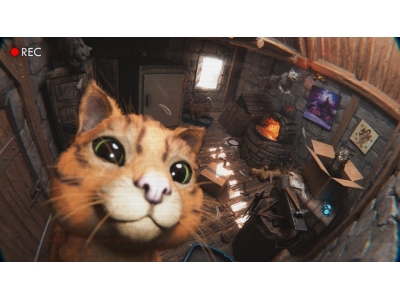 《方舟生存飞升》可爱新生物“猫”上线,性格各异猫党狂喜！