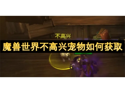魔兽世界不高兴宠物如何获取