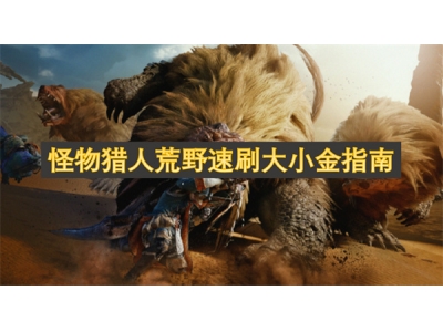 怪物猎人荒野速刷大小金指南