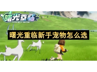 曙光重临新手宠物怎么选